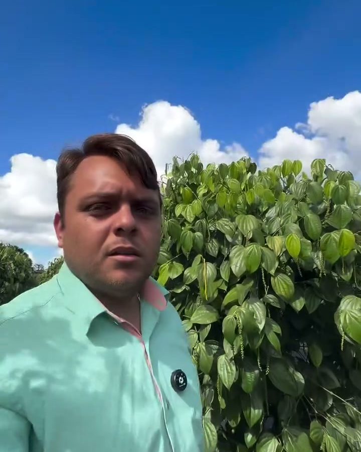 Higor Laus numa lavoura de pimenta-do-reino